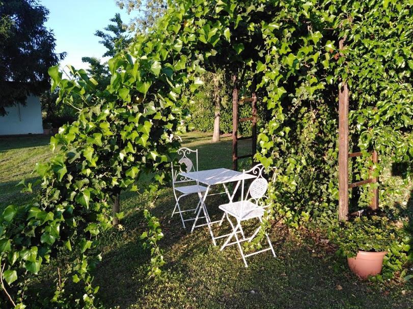 B&B Borgo Del Priolo - Petfriendly Cesena Exterior foto