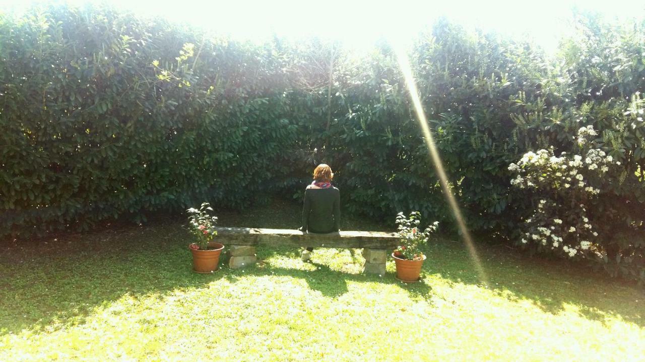 B&B Borgo Del Priolo - Petfriendly Cesena Exterior foto